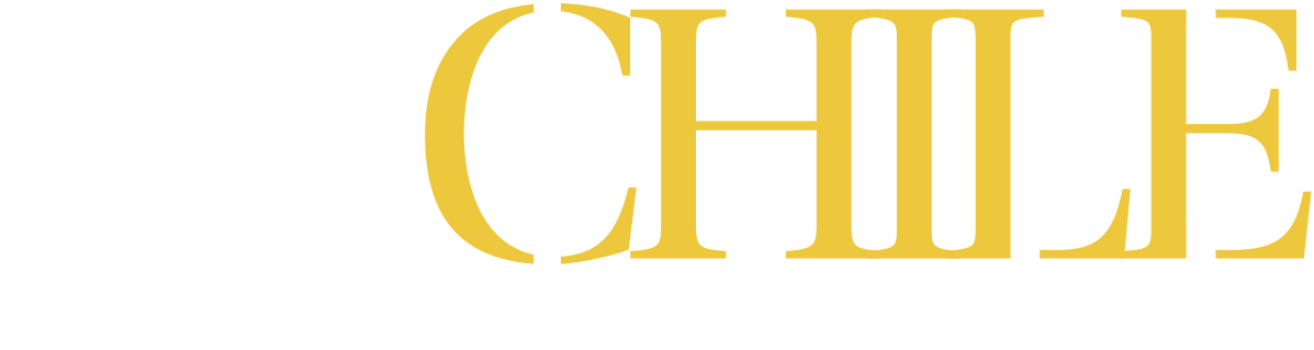IPPCHILE — Instituto de Perfeccionamiento Profesional de Chile